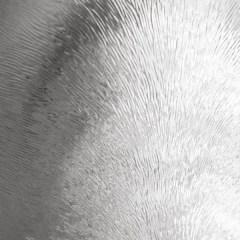 1806/wchinchilla-glass3