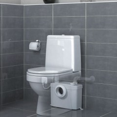 1810/sanitop-1